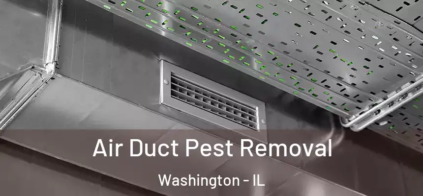  Air Duct Pest Removal Washington - IL