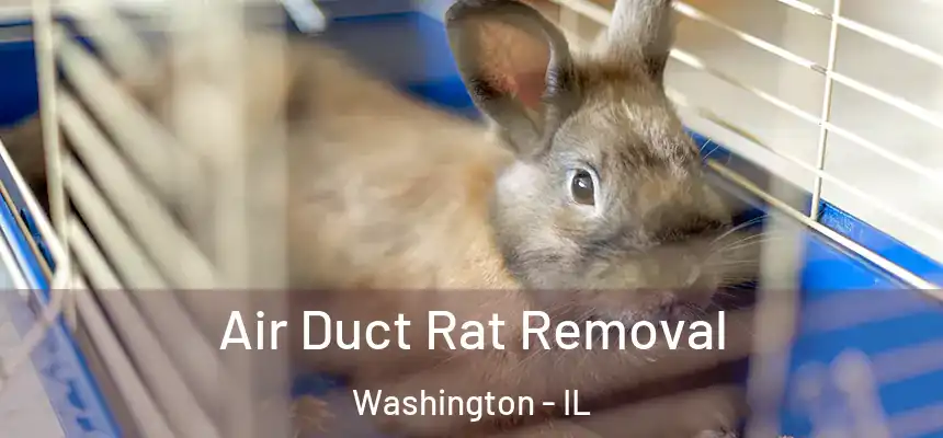  Air Duct Rat Removal Washington - IL