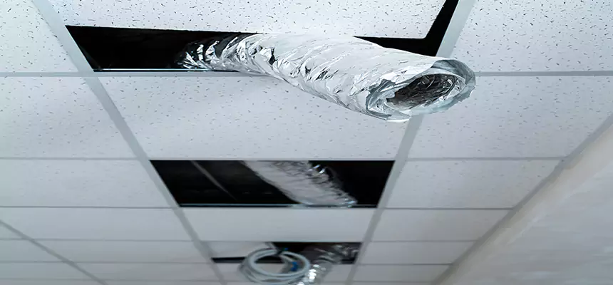 Our Air Duct Pet Hair Removal Services in Washington, IL