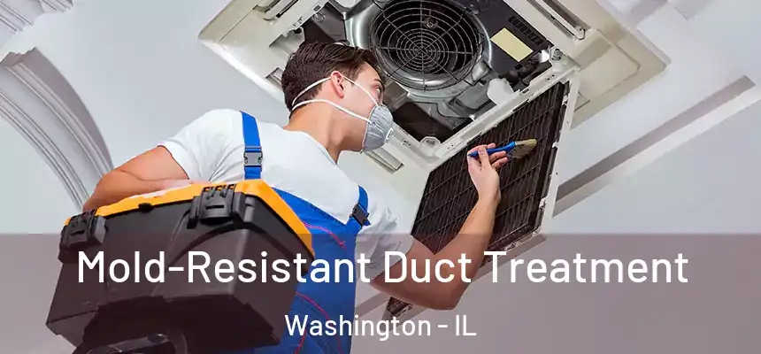  Mold-Resistant Duct Treatment Washington - IL
