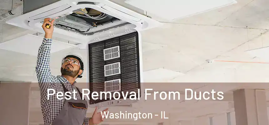  Pest Removal From Ducts Washington - IL