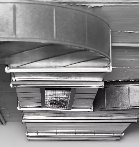 Professional Air Duct Pest Removal in Washington, IL