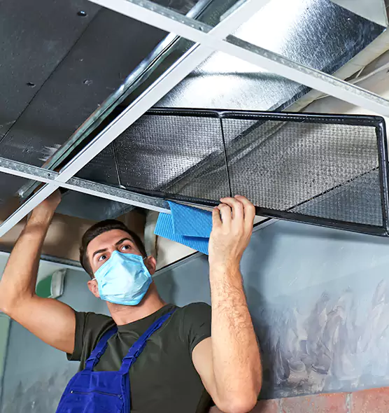 Professional Air Duct Pollen Cleaning in Washington, IL