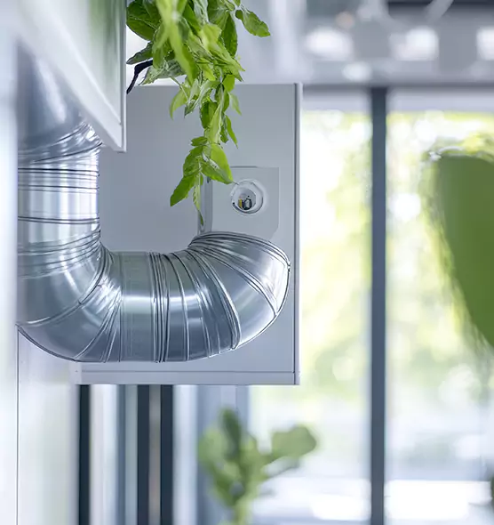 Professional Eco-Safe Dryer Vent Cleaning in Washington, IL